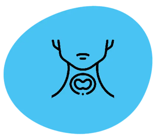 programs